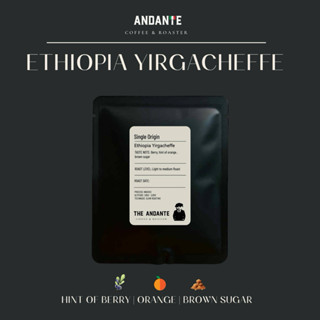 The Andante Drip Bag กาแฟดริป แบบซอง ฉีกซอง เทน้ำดริป พร้อมด…