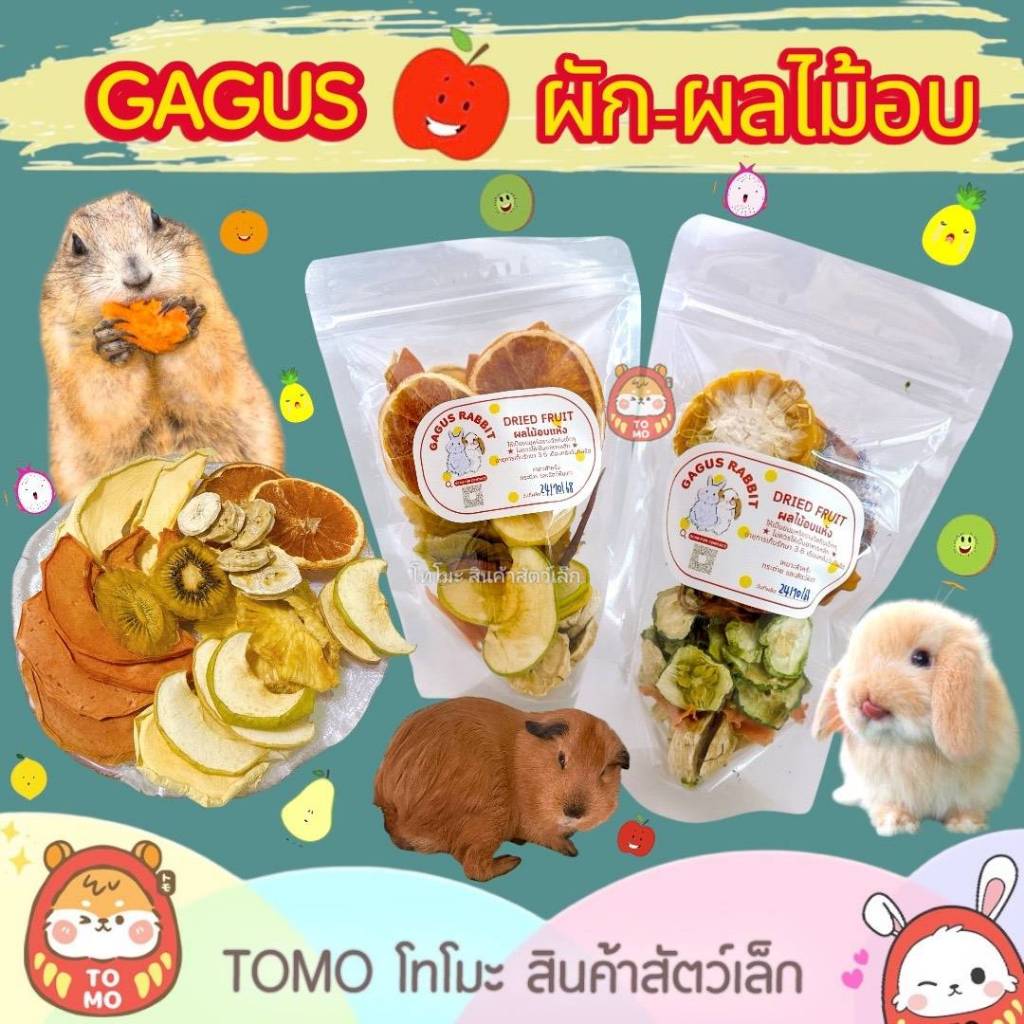 ร้านโทโมะ 💕 GAGUS ผัก-ผลไม้อบแห้ง สุดแสนอร่อย หอมๆ ขนมกระต่าย แกสบี้ แพรี่ด็อก แฮมสเตอร์ กระต่าย