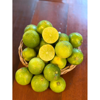 มะนาวไร้เมล็ดปลอดสารพิษ