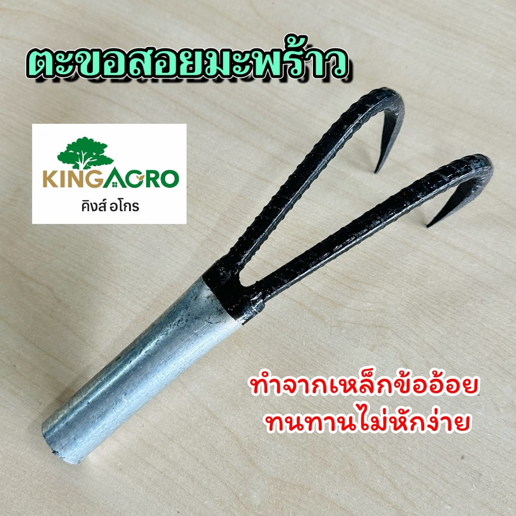 ตะขอสอยมะพร้าว ขอชักมะพร้าว ตะขอเก็บมะพร้าว (มือแมว) ขอเก็บมะพร้าง 2 เงี่ยง ทำจากเหล็กข้ออ้อย ทนทานมาก