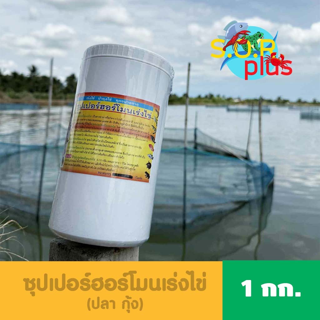 ส่งฟรี 1 กก. 🔥ซุ:เ:ป:อ:ร์🐟🦐ฮ:อ:ร์:🐢🐸โ:ม:น🐣เ:ร่:ง🪿🦆🐔ไ:ข่ 🦗