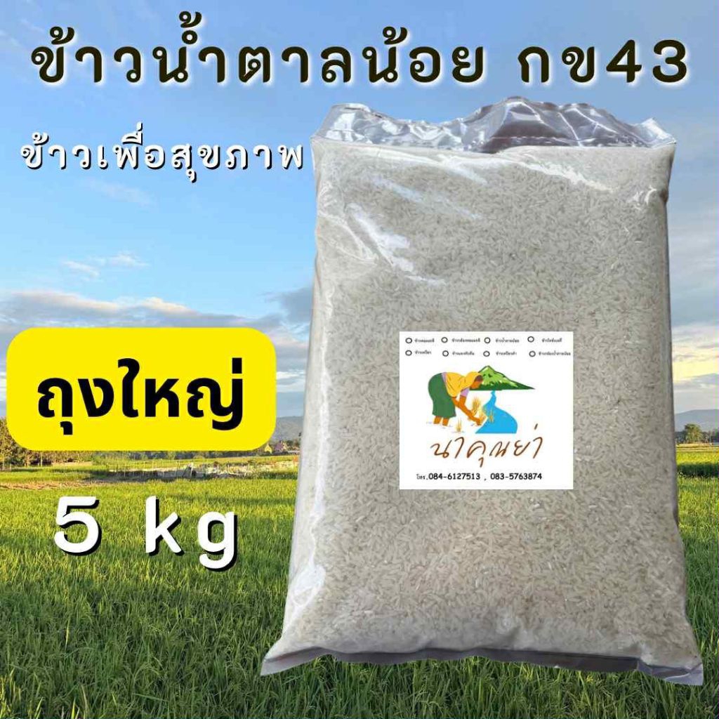 ใหม่✨(ถุงใหญ่ 5 kg)  🌾ข้าวน้ำตาลน้อย กข43 นาคุณย่า ข้าวน้ำตาลต่ำ ข้าวเกี่ยวใหม่หอมนุ่มอร่อยข้าวปลอดสารเคมีข้าวเกี่ยวใหม่