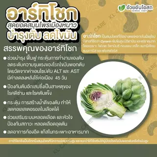 Artichoke Extract อาร์ทิโชก ลูกซัดสกัด บำรุงตับ ลดไขมันพอกตับ ตับแข็ง อ้วยอันโอสถ 60 แคปซูล ของแท้