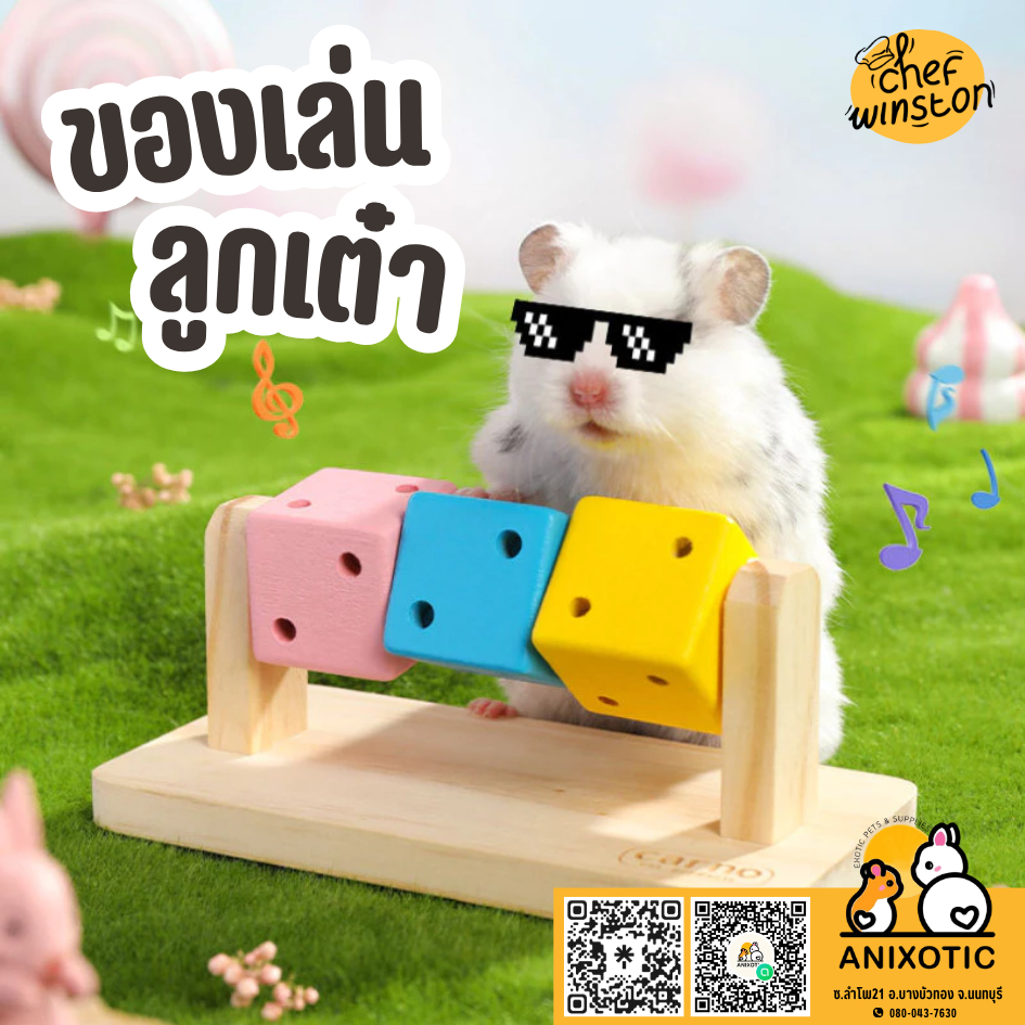 Anixotic [ของเล่นแฮมสเตอร์] ลูกเต๋าแฮมสเตอร์