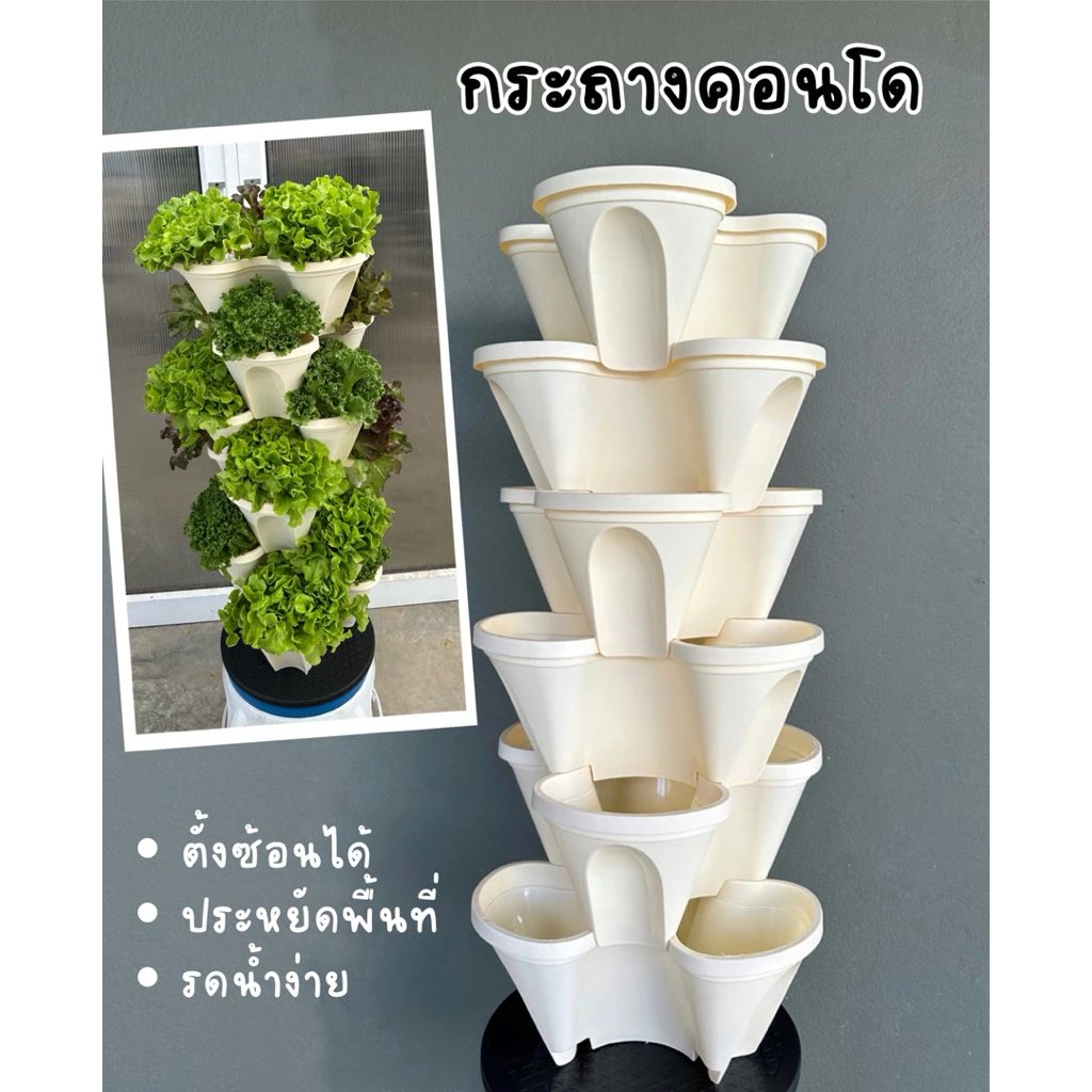 กระถางคอนโด กระถางแนวตั้ง ใช้พื้นที่น้อย ประหยัดน้ำ vertical pot,condo pot