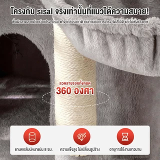 คอนโดแมว คอนโดแมวไม้ เสาลับเล็บแมวได้ คอนโดกำมะหยี่และคอนโดไม้ แน่นไม่สั่น เหมาะสำหรับแมว 3-6 ตัว