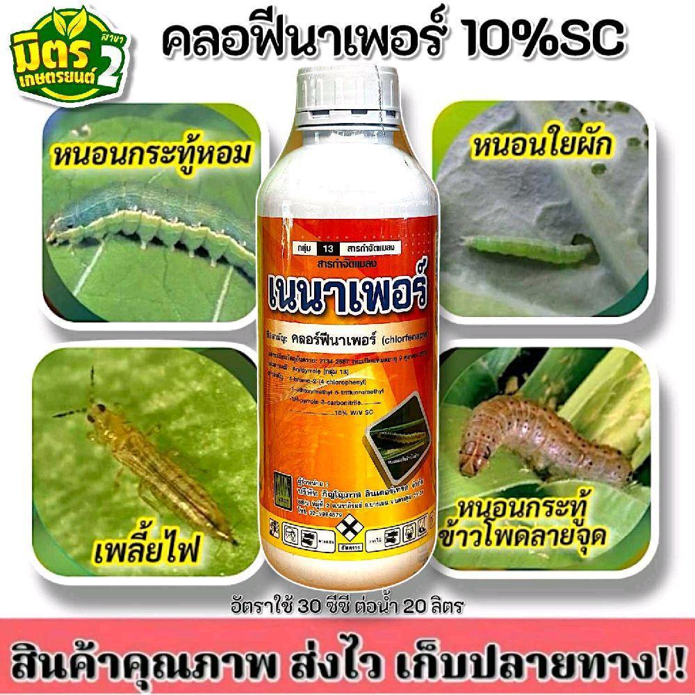 เนนาเพอร์(คลอร์ฟีนาเพอร์10) สูตรเย็น ออกฤทธิ์แบบถูกตัวตายและกินตาย ดูดซึมเข้าสู่ใบพืชอย่างรวดเร็ว ปราบเรียบหนอนเจาะ 1L.