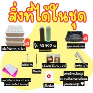 ชุดใหญ่ปลูกผักชี คื่นฉ่าย ชุดปลูกผักชี คื่นฉ่าย ไฮโดรโปนิกส์ (ชุดกล่อง 3 ใบ)