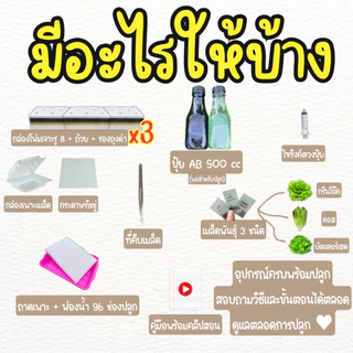 ชุดใหญ่ (กล่องโฟม 3 ใบ) ชุดปลูกผักสลัดไฮโดรโปนิกส์