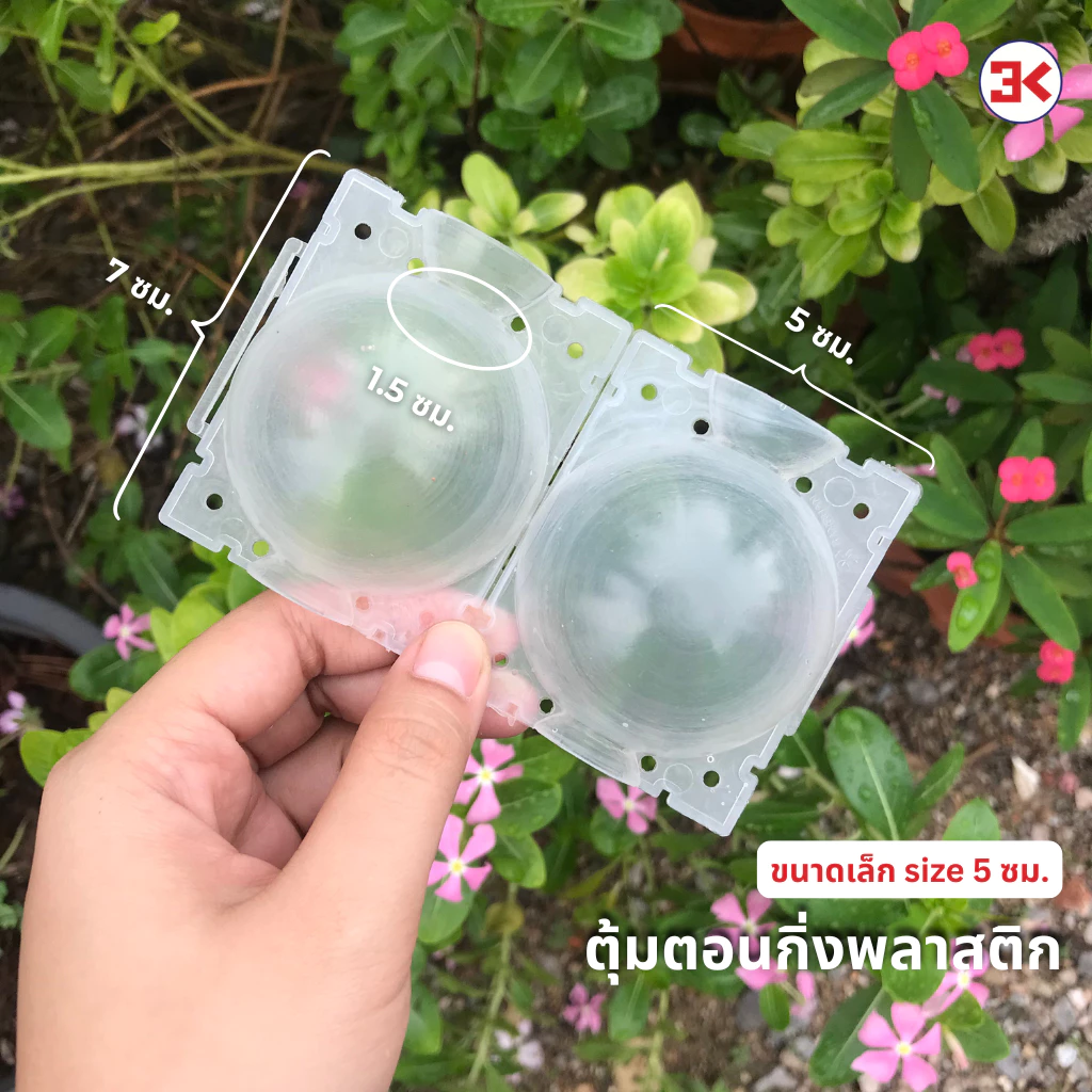 A03 ตุ้มตอนกิ่งต้นไม้ 1 ชิ้น สีดำสีขาวและสีใส ขนาด 5 cm. และ 8 cm. สินค้าพร้อมจัดส่ง thumbnail 6