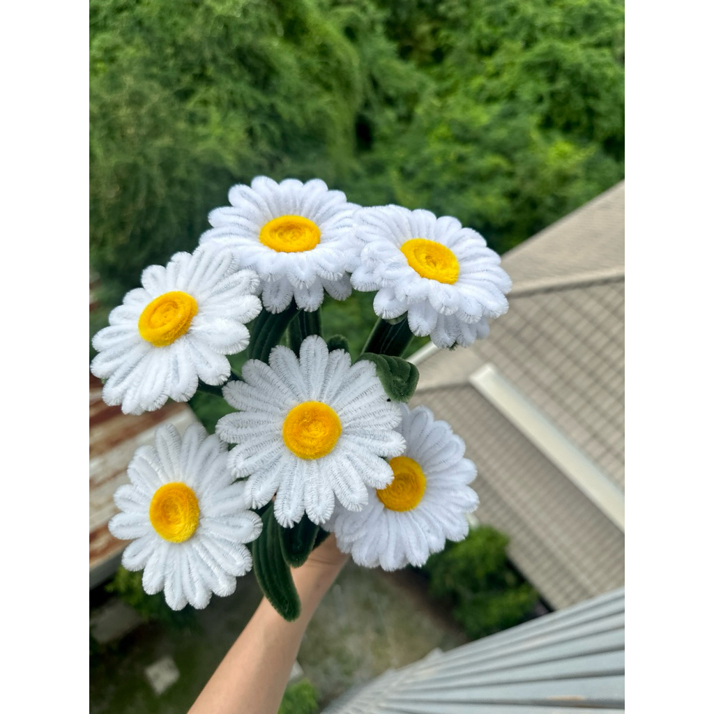 ดอกเดซี่ ลวดกำมะหยี่ ดอกไม้วันปัจฉิม ของขวัญรับปริญญา ของขวัญวันเกิด