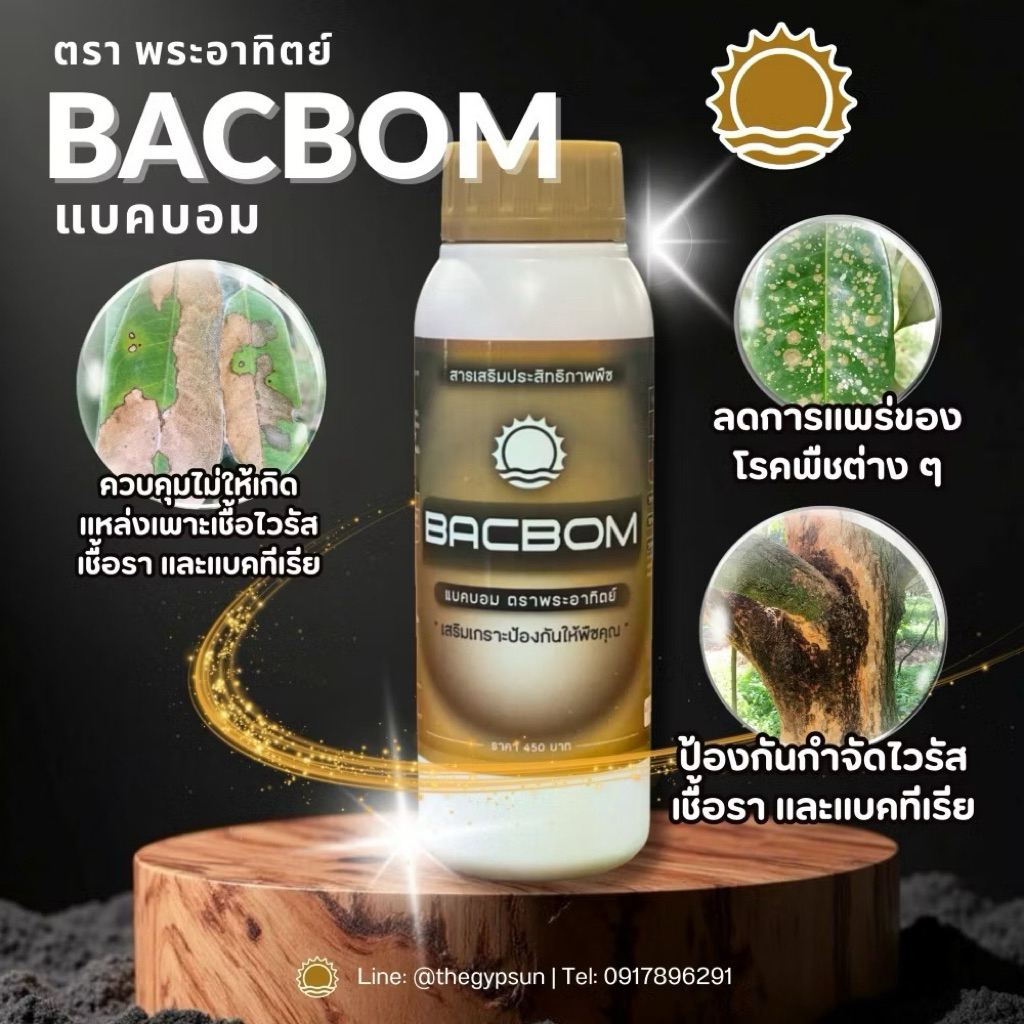 แบคบอม ฆ่าเชื้อโรค ปราบเชื้อรา สู้แบคทีเรีย เสริมเกราะป้องกันให้กับพืชของคุณ ขนาด 500CC