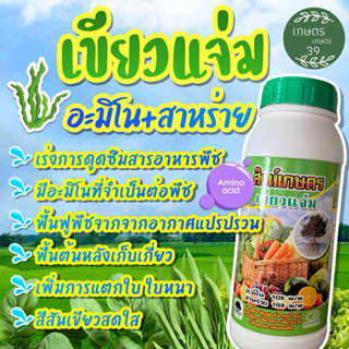 เขียวแจ่ม อะมิโน+สาหร่าย ใช้ได้กับพืชทุกชนิด❌มีภาพใช้จริงประ…