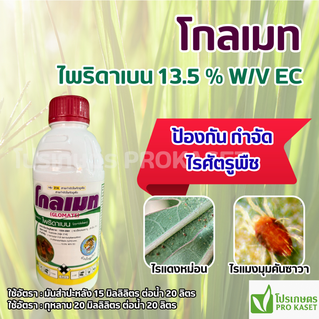 โกลเมท (ไพริดาเบน) 1 ลิตร ตราหัวเสือลูกโลก ป้องกันกำจัดไร ในมันสำปะหลัง