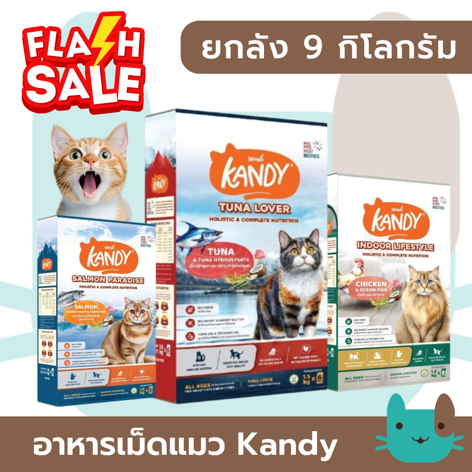 Kandy อาหารแมว (ยกลัง 9kg) 1.5kgX6ถุง Holistic สารอาหารครบถ้วน FS