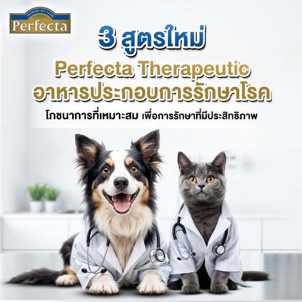 Perfecta Weight Management อาหารประกอบการักษาโรคอ้วน สำหรับสุนัขและแมว  ขนาด 1.2-1.5กก ราคา ถูกที่สุด ดีลบีเคเค แกลเลอรีภาพที่ 6
