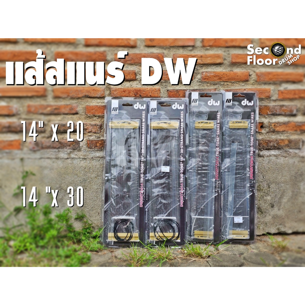 แส้สแนร์ DW   DWSMTT