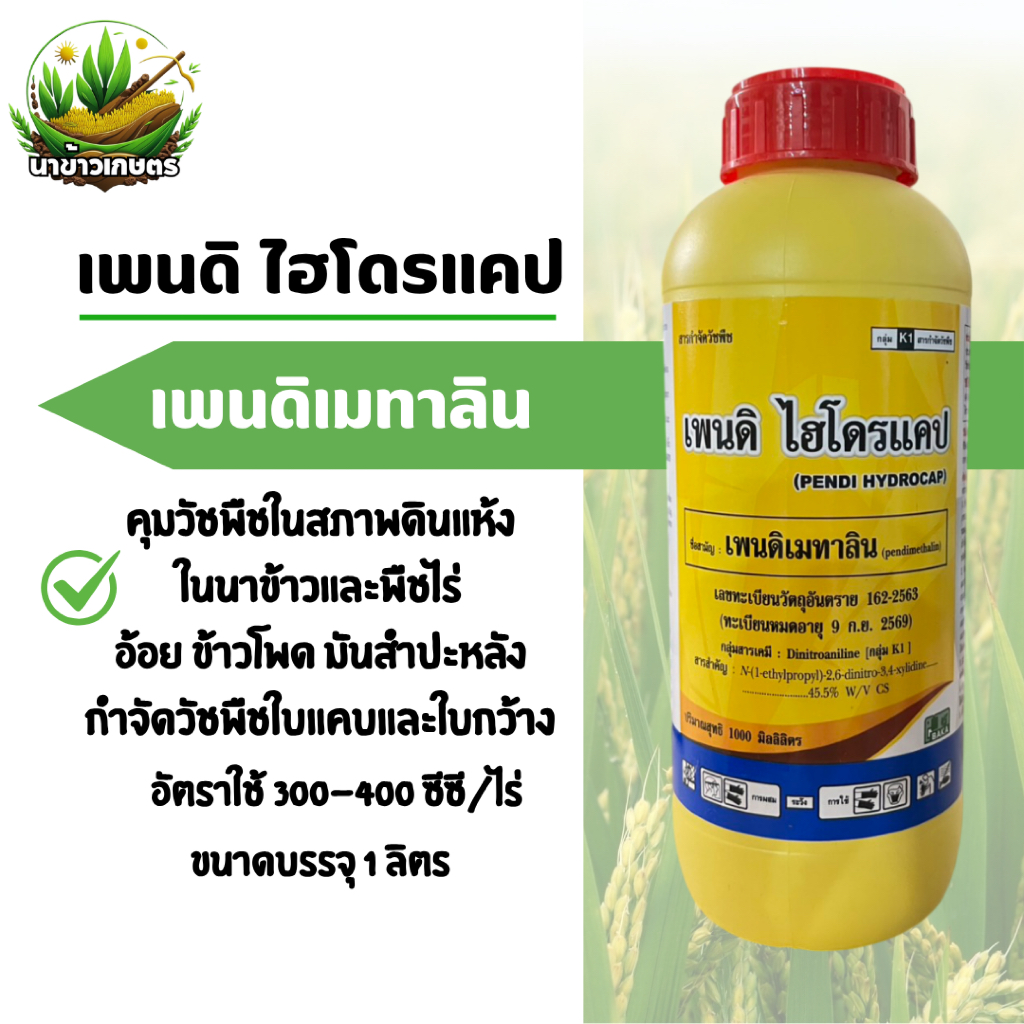 ยกลัง เพนดิไฮโดรแคป เพนดิเมทาลิน 1ลิตรx10ขวด ยาเหลือง คุมแห้งในนาข้าวและพืชไร่