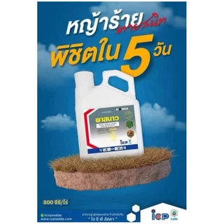 พาสนาว กลูโฟซิเนต-แอมโมเนียม 4ลิตร x 4แกลลอน กำจัดวัชพืชประเภทใบแคบ เเละวัชพืชประเภทใบกว้าง