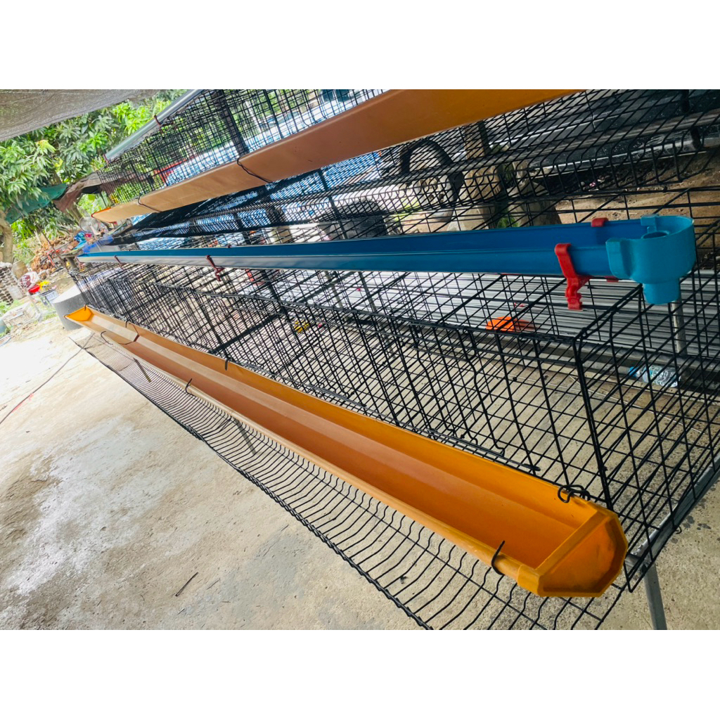 กรงไก่ไข่ มือสอง ชุดเลี้ยงไก่ได้54ตัว พร้อมอุปกรณ์ครบชุด - รูปที่ 3