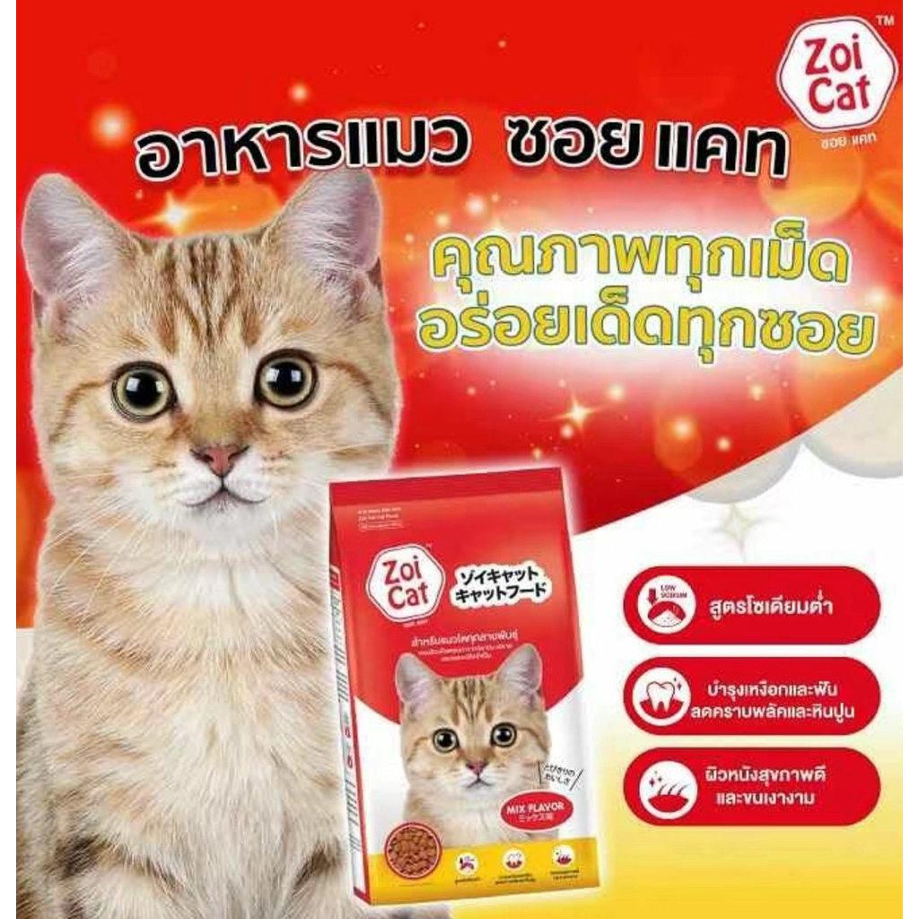 (แบบตักนะคะ) Zoi Cat อาหารแมวซอยแคท  แมวโตทุกสายพันธุ์ ขนาด 20 KG