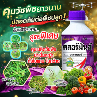 คลอร์มันส์ 1 ลิตร อะลาคลอร์ สูตรน้ำม่วง คุมวัชพืช ก่อนพืชประ…