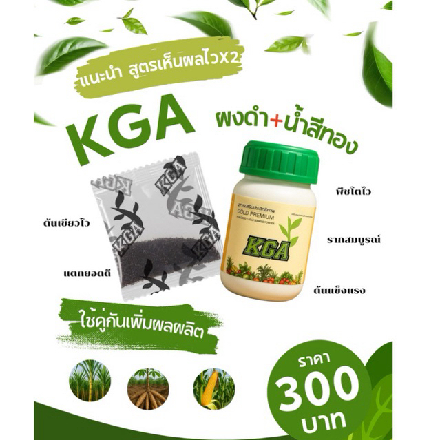 ผงดำKGAและน้ำสีทองKGAบำรุงพืชเขียวนานโตไว