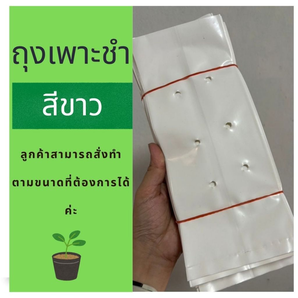 ถุงเพาะชำสีขาว ถุงปลูกเมล่อน ถุงปลูกสตอเบอรรี่ ถุงปลูกแคนตาลูป  (ขนาด 1 KG)