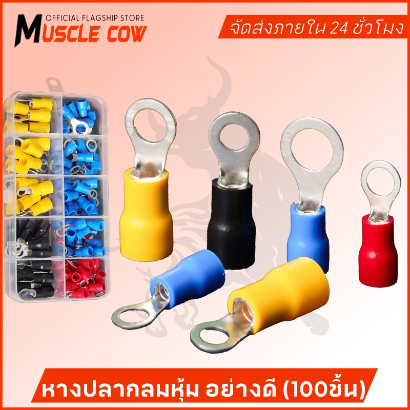MUSCLE COW ชุดขั้วต่อสายไฟแบบวงแหวน RV มีฉนวน 100 ชิ้น หลายสี ขนาดครบ ใช้กับระบบไฟและต่อสายดิน พร้อมกล่องเก็บ