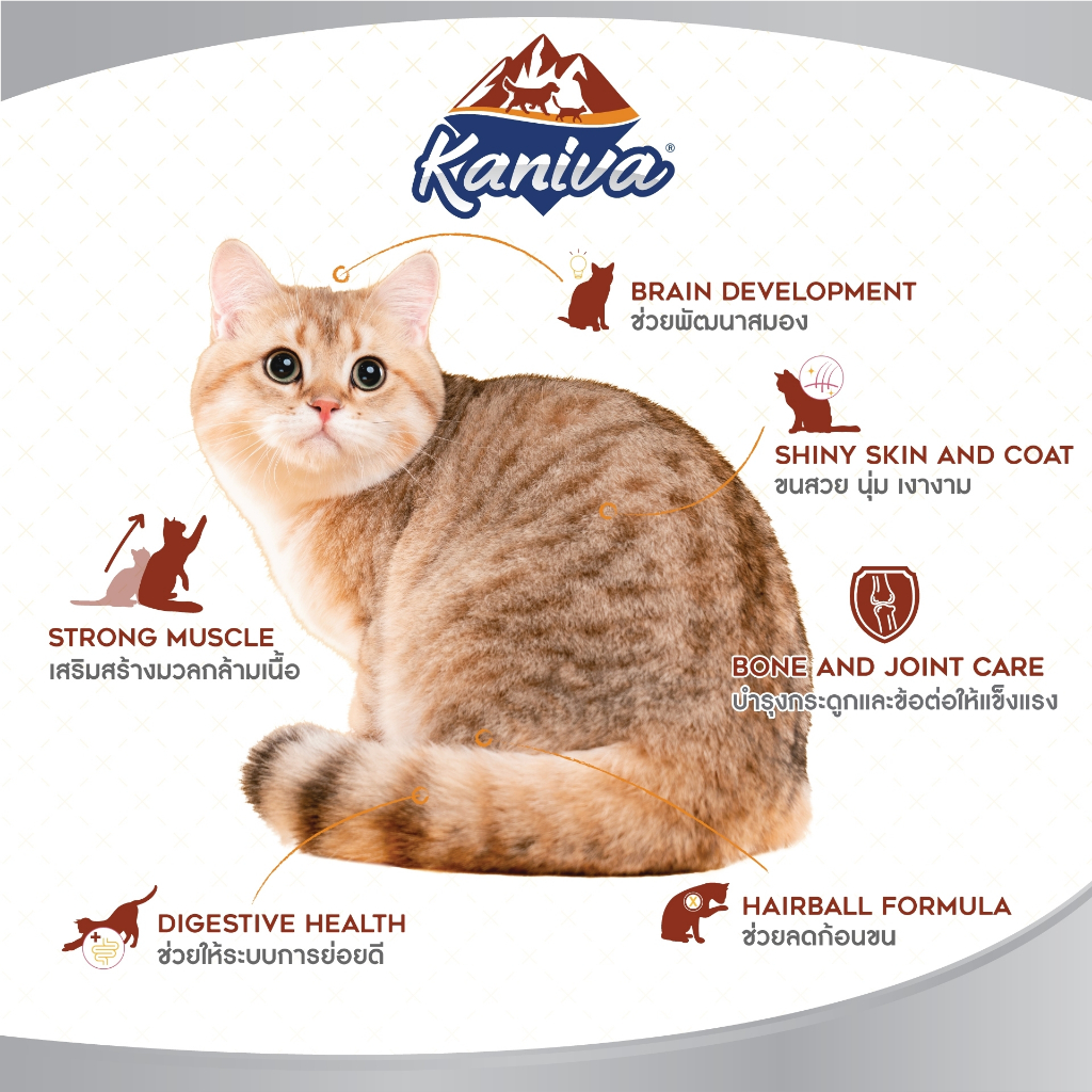 Kaniva Cat Food อาหารแมว 2.5 - 3.2 KG. บำรุงผิวหนังและขน ช่วยปรับสมดุล เพื่อแมวขนสวย เงางาม สุขภาพดี - รูปที่ 2