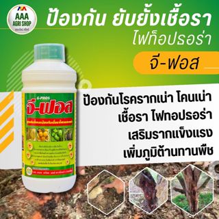 จีฟอส - สารป้องกันและยับยั้งเชื้อราไฟทอปธอร่า รากเน่า โคนเน่…