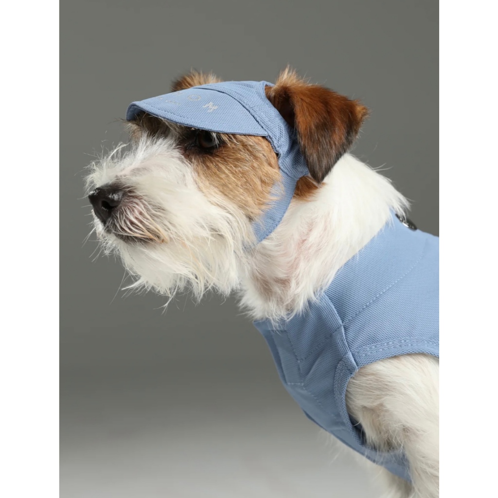 Tennis cap หมวกเทนนิสแคปของหมาแมว