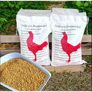 อาหารไก่โปรตีน21% ต้านบิดไก่ 4kg/ถุง ไก่แรกเกิด-2 เดือน