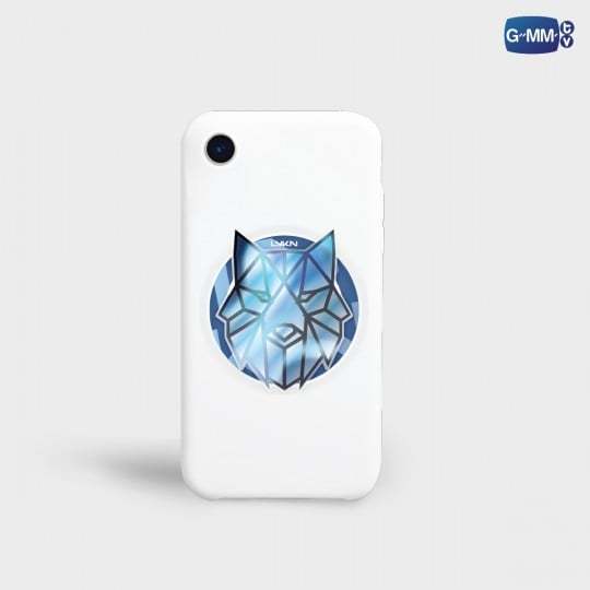 LYKN MAGSAFE GRIPTOK