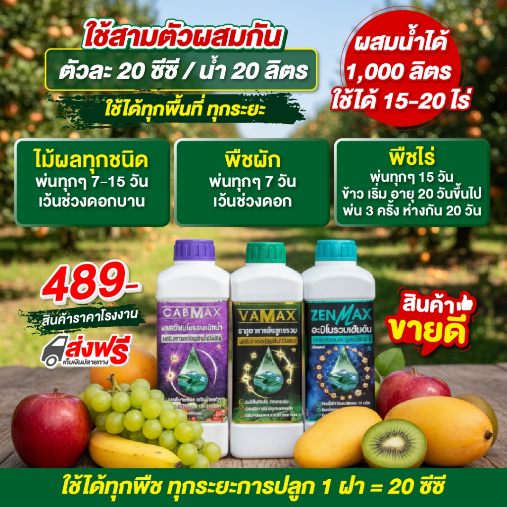 ถูกสุดในประเทศ ชุดบำรุงพืชสูตรเข้มข้น ZENMAX +VAMAX + CABMAX