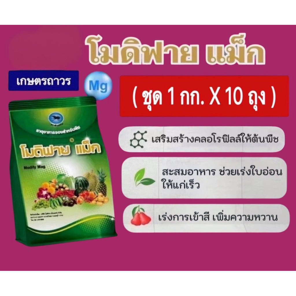 โปรโมชั่น 🔥🔥🔥โมดิฟาย แม็ก ชุด 1 กก x10 ถุง  สารแมกนีเซียม เป็นธาตุอาหารรอง ช่วยให้ใบอ่อนแก่เร็วขึ้น ใบเขียว