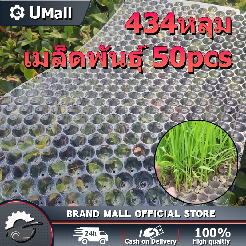 Nwe 434หลุม เมล็ดพันธุ์ 50pcs ถาดเพาะกล้า ถาดเพาะเมล็ด ถาดเพาะปลูกผัก เมล็ด ถาดเพาะชำ