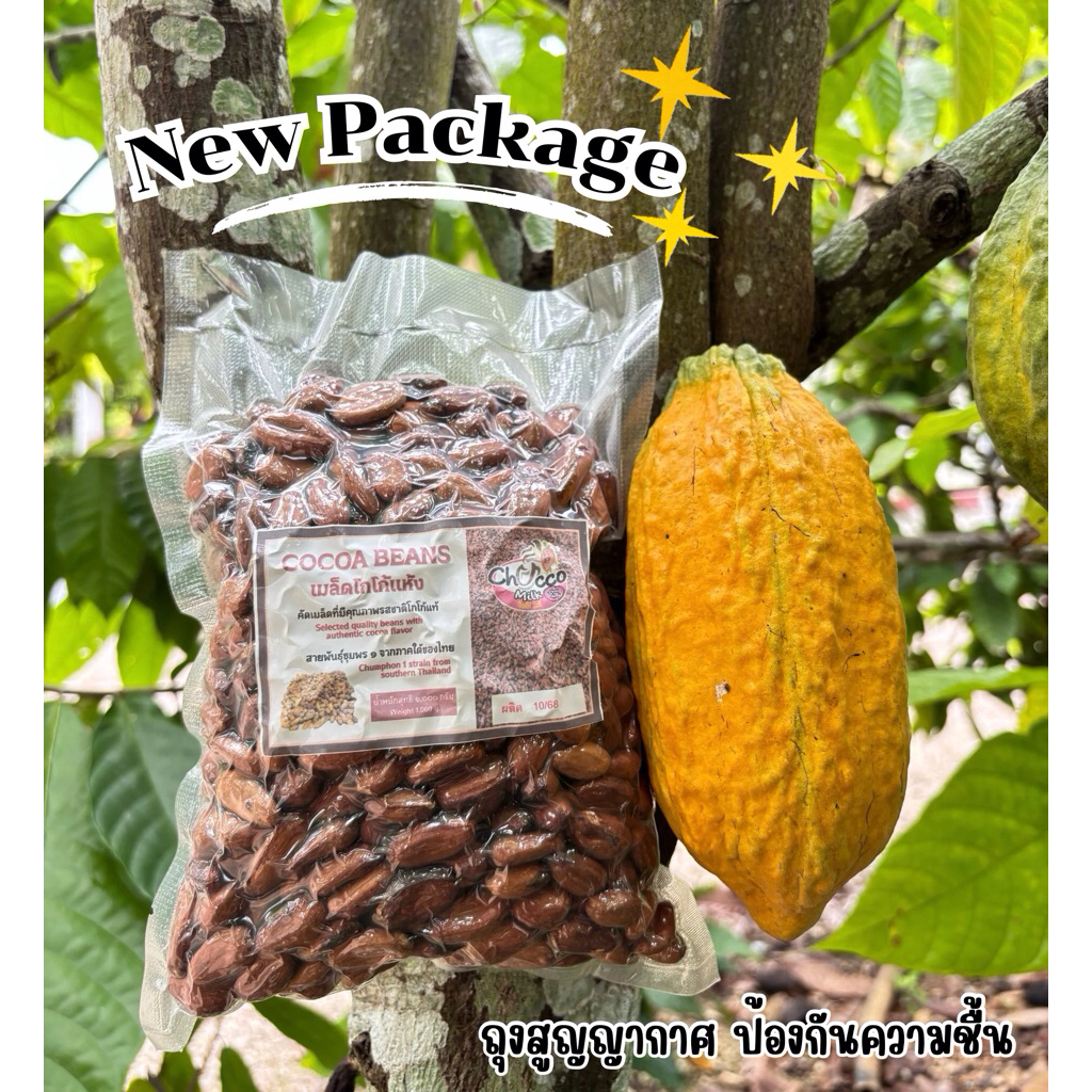 เมล็ดโกโก้แห้ง Cocoa Beans ขนาด 1,000 กรัม สามารถนำไปคั่ว ทำเป็นโกโก้นิปส์  ทำช็อกโกแลต เครื่องดื่ม เบเกอรี่ จากภาคใต้