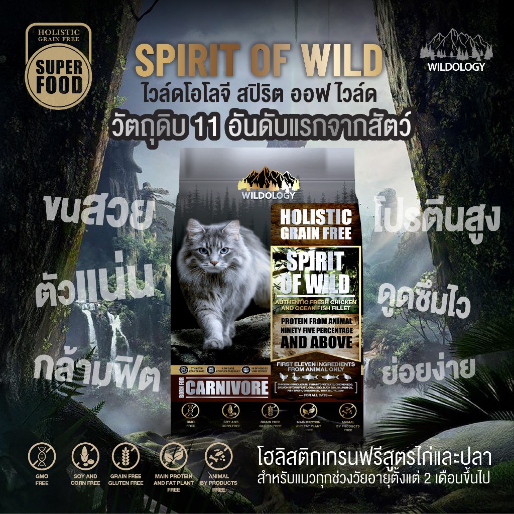 อาหารแมวแบบเม็ดโฮลิสติกเกรนฟรี ไวลด์โอโลจี [SPIRIT OF WILD] สำหรับแมวทุกช่วงวัย 1 KG [ WSW ]