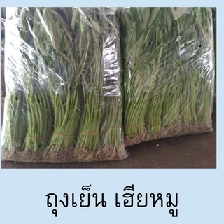 ถุงเย็น เจาะรู มีรู ถุงใส่ผัก ถุงพลาสติก พีอี (PE) แช่เย็น แช่ฟรีซ เหนียว ไม่แตก น้ำหนัก 0.5 kg. ถุงเฮียหมู