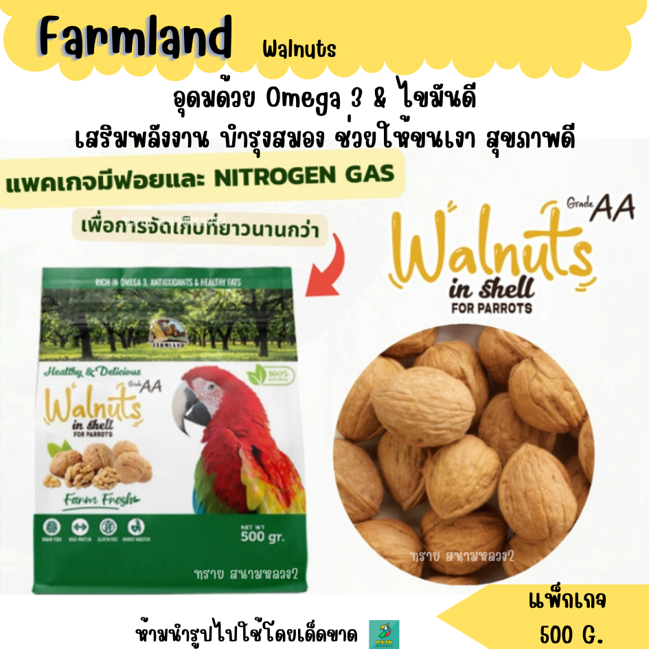 Farmland  Walnuts in Shell Grade AA สำหรับนกแก้ว (แพ็กเกจ 500 G.)