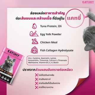 KATCHY แคทชี่ อาหารเสริมโปรตีนแมว | สูตร Skin&Coat บำรุงผิวหนังและเส้นขน ลดการขาดหลุดร่วง ขนาด 100g