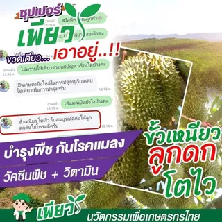 เพียว1 เพียว2 (อย่างละ 1ขวด) วัคซีนรักษาโรคพืช เร่งโต เร่งเขียว เร่งผลผลิต