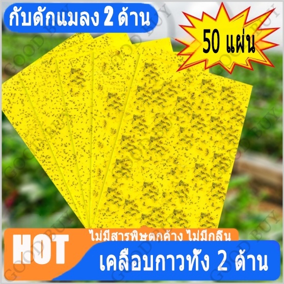 25/50 แผ่น กาวดักแมลงวันทอง สีเหลือง แผ่นกาวดักแมลง กาวเหนียว 2 ด้าน เหนียว ทนแดด มีกาวในตัว
