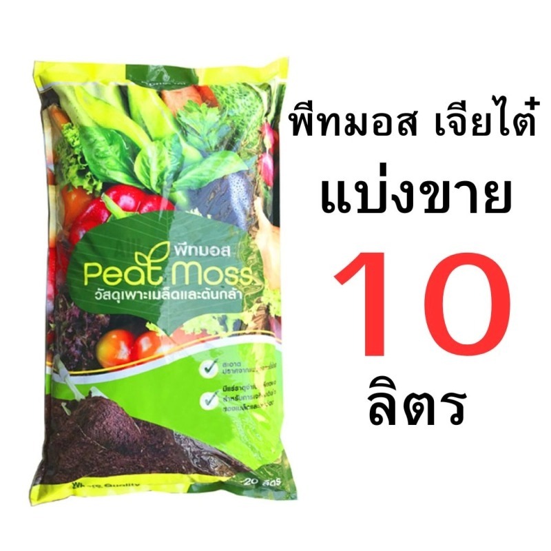 รูปภาพ 6