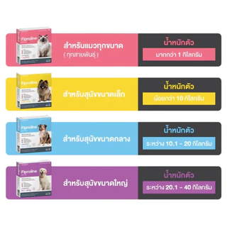 (แมวทุกขนาด >1kg) Fiproline ผลิตภัณฑ์ป้องกันและกำจัดเห็บหมัด สำหรับแมว ชนิดหยดหลัง