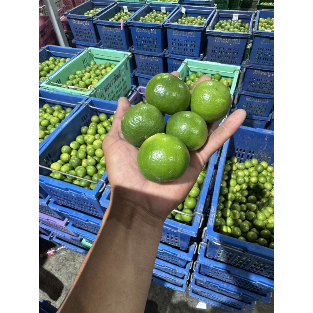 รูปภาพ 3