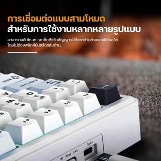 [คีย์บอร์ด+เม้าส์] Neolution E-Sport Singular Core คีย์บอร์ดไร้สาย 3ระบบ Hot-Swap มีซอฟต์แวร์ แถมสวิตช์ Clicky ประกัน2ปี