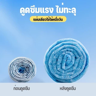 [ในสต็อก] Dog Pee Pad, การดูดซับสูง, ป้องกันแบคทีเรีย, Pee Pad, Dog Pee Pad, แมว Pee Pad, แผ่นดูดซับ, สามารถใช้กับทรายแม