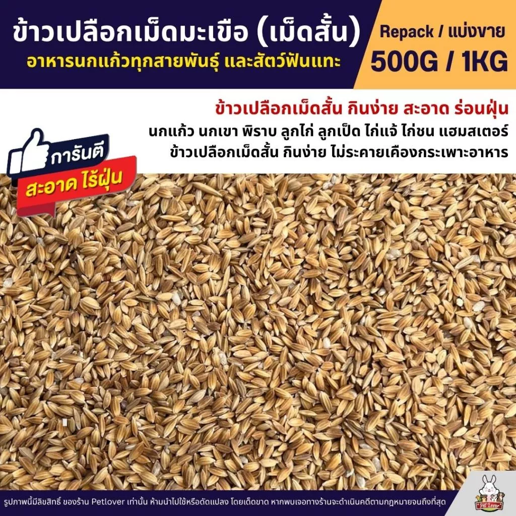 ข้าวเปลือกเม็ดมะเขือ ข้าวเปลือกเม็ดสั้น อาหารนกแก้ว หนูแฮมสเตอร์ ไก่ชน ไก่แจ้ (แบ่งขาย 500G / 1KG)